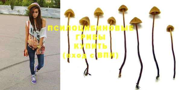 apvp Арсеньев