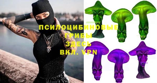 apvp Арсеньев