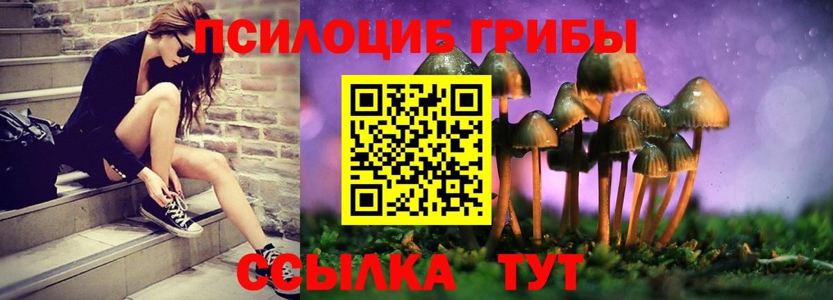 Галлюциногенные грибы прущие грибы  Вход с VPN  Гурьевск 