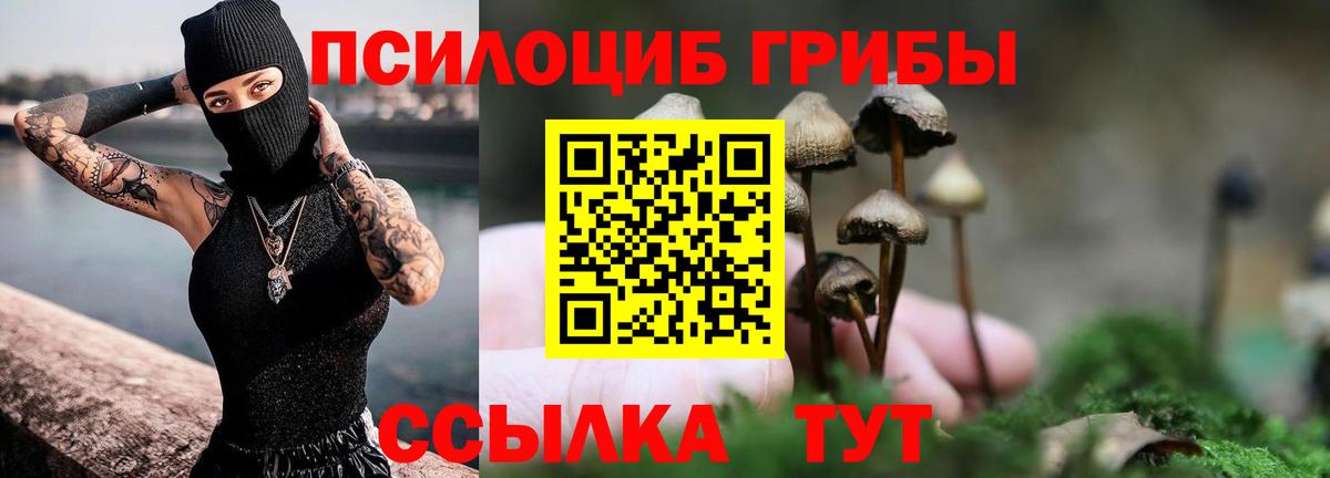 Галлюциногенные грибы Cubensis Гурьевск